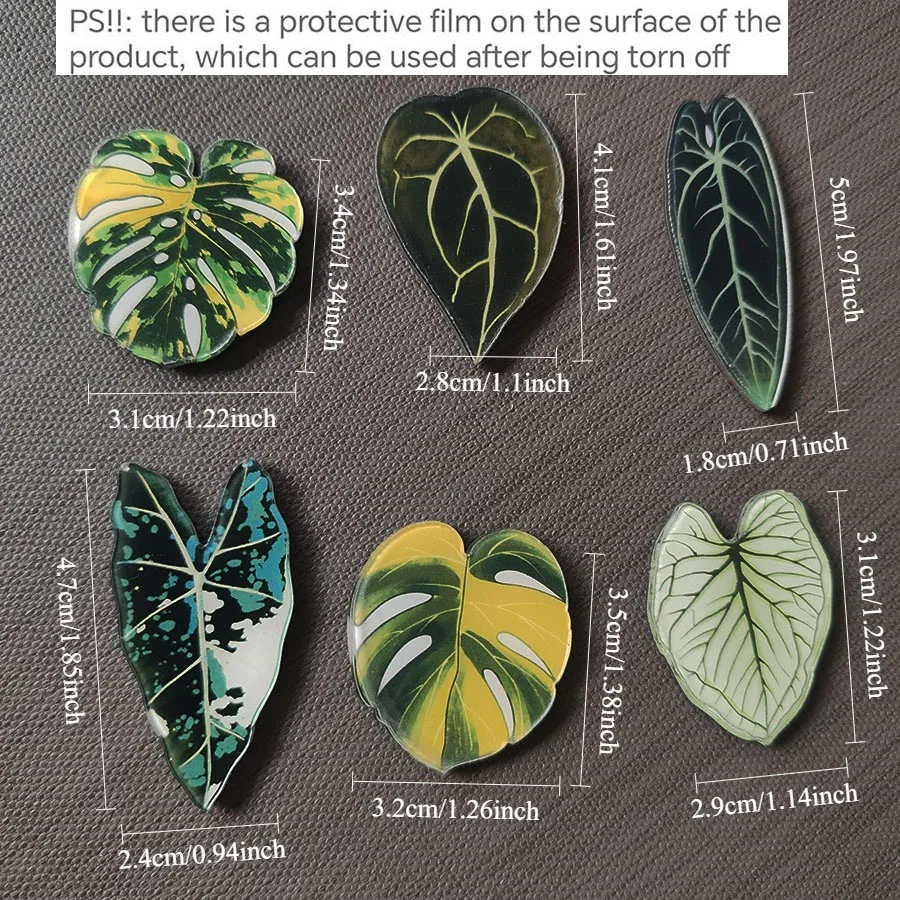 6pcs Begonia Monstera Magnetic - огляд і ціна Home Improvement Ideas