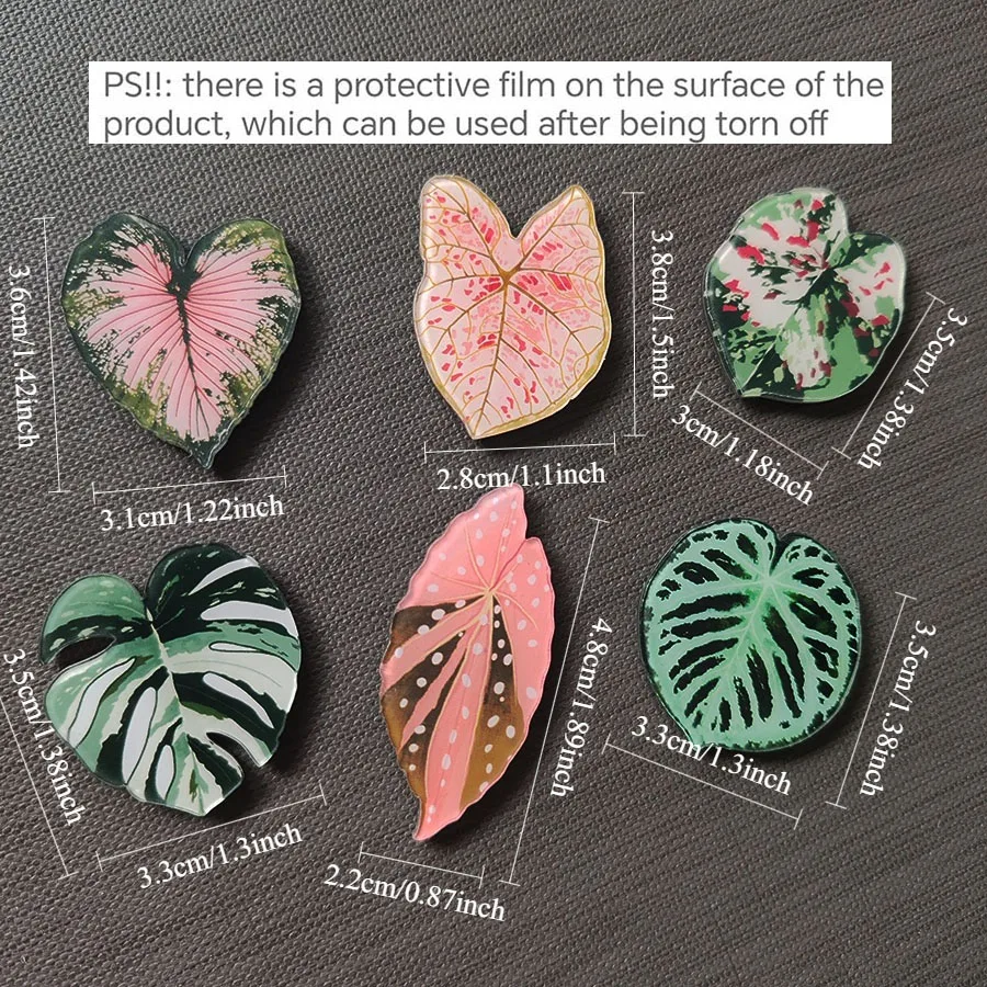 6pcs Begonia Monstera Magnetic - огляд і ціна Home Improvement Ideas