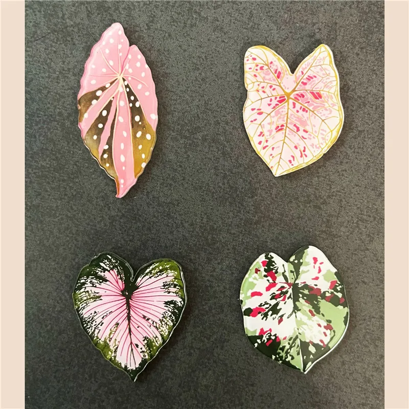 6pcs Begonia Monstera Magnetic - огляд і ціна Home Improvement Ideas